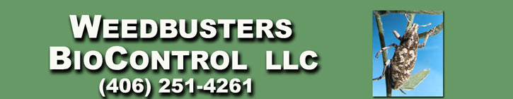 Weedbusters Biocontrol LLC